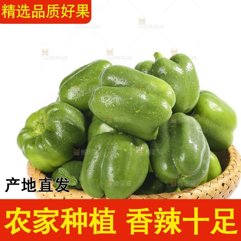 白底上的青圆椒