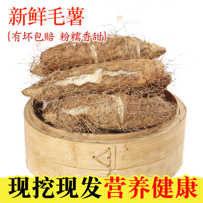 白底上的新鲜毛薯