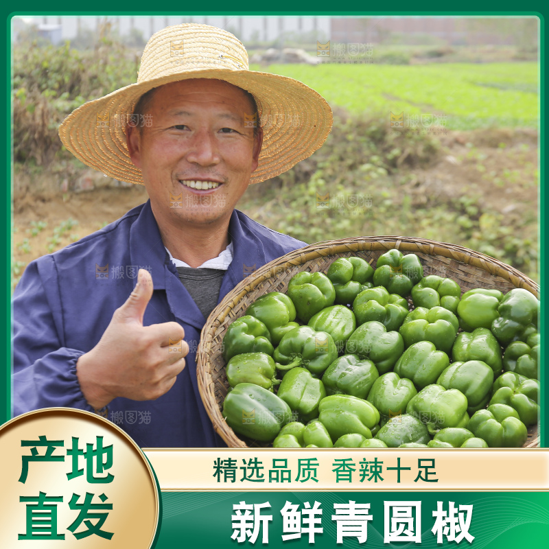手里拿着新鲜青圆椒