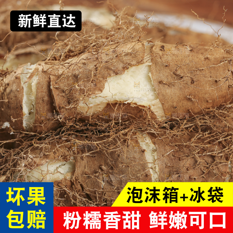 深底上的新鲜毛薯
