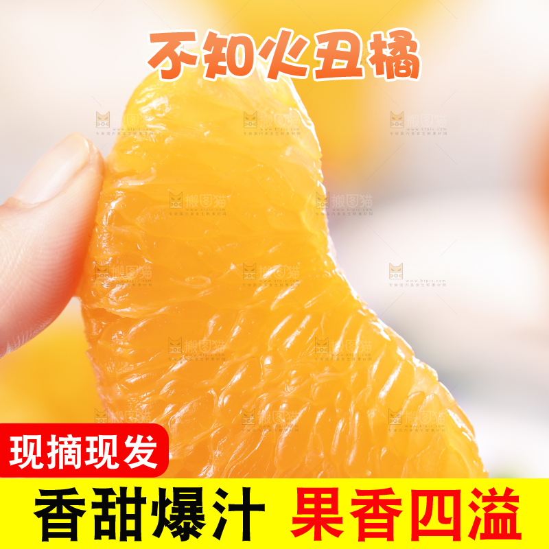 浅底上的丑八怪