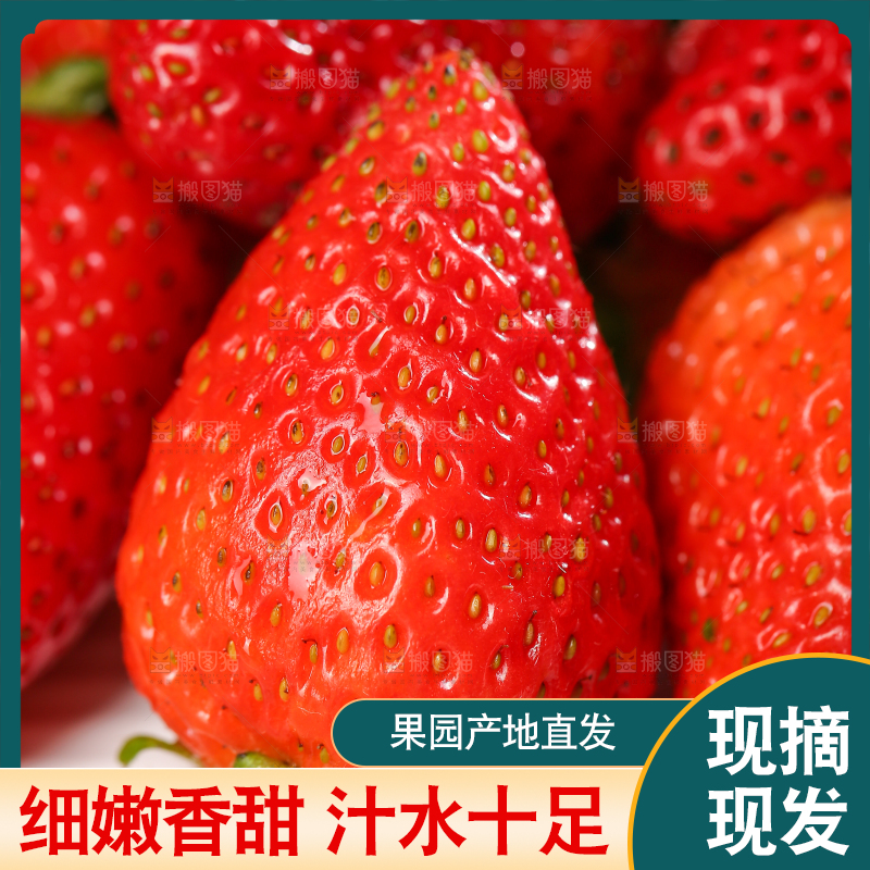 深底上的丹东草莓