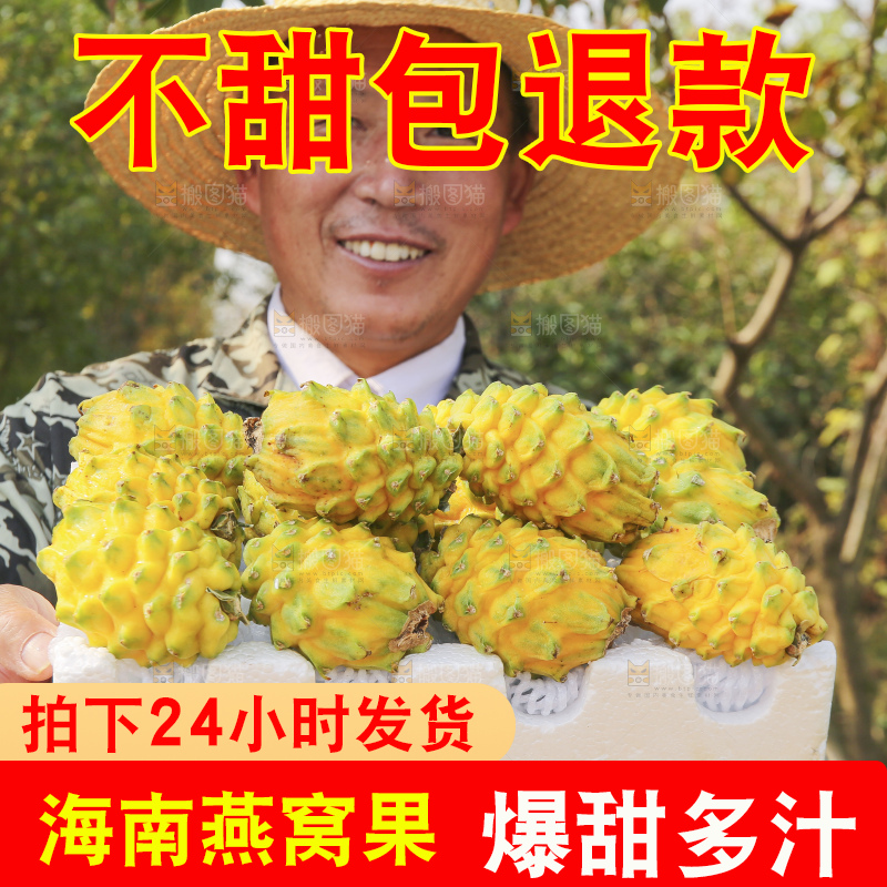 手里拿着燕窝果
