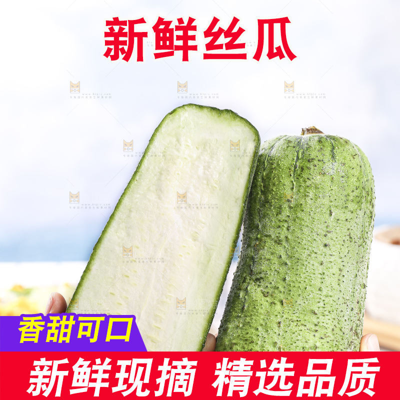 浅底上的肉丝瓜