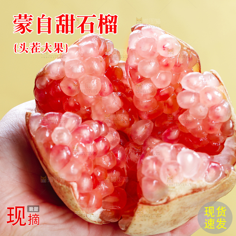 浅底上的蒙自石榴