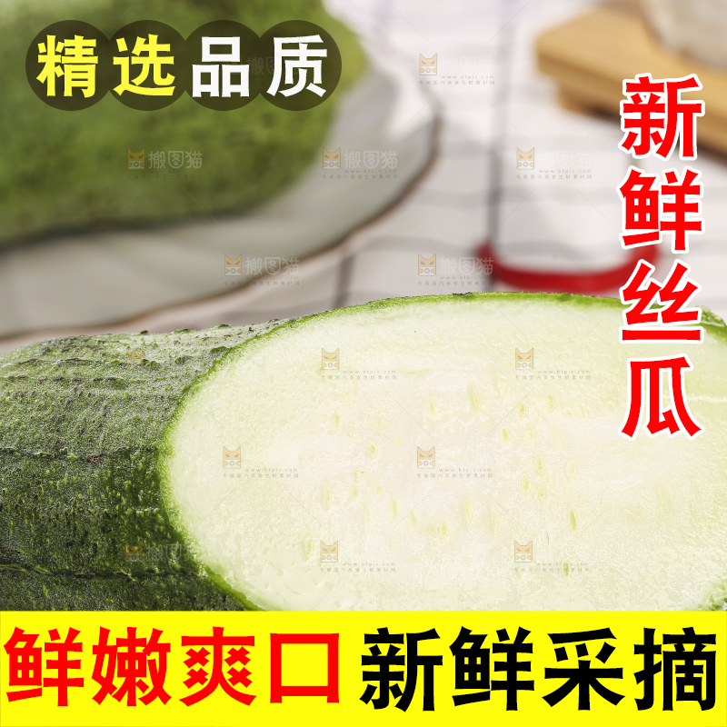 浅底上的肉丝瓜