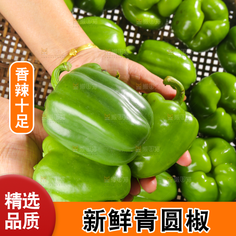 白底上的青圆椒