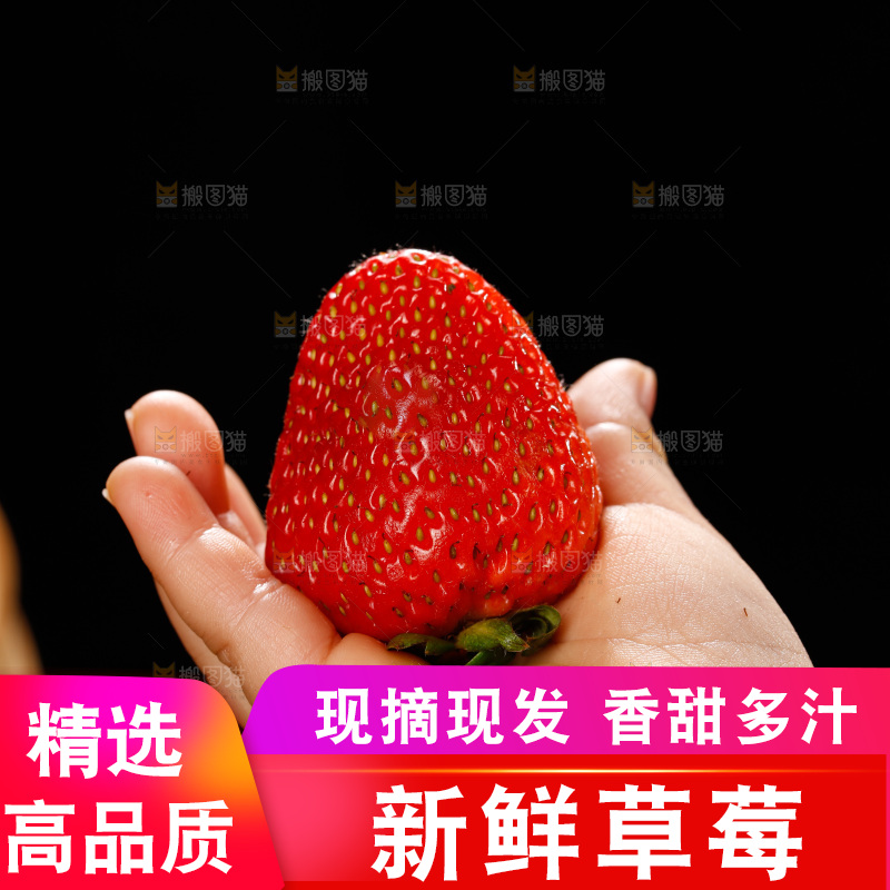 浅底上的丹东草莓