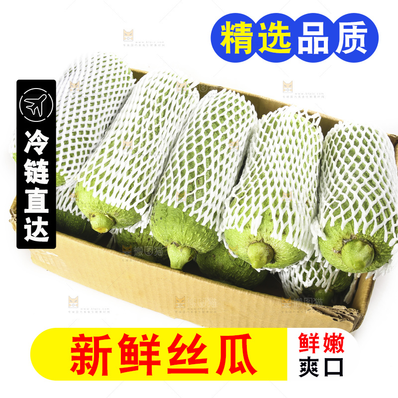白底上的大丝瓜
