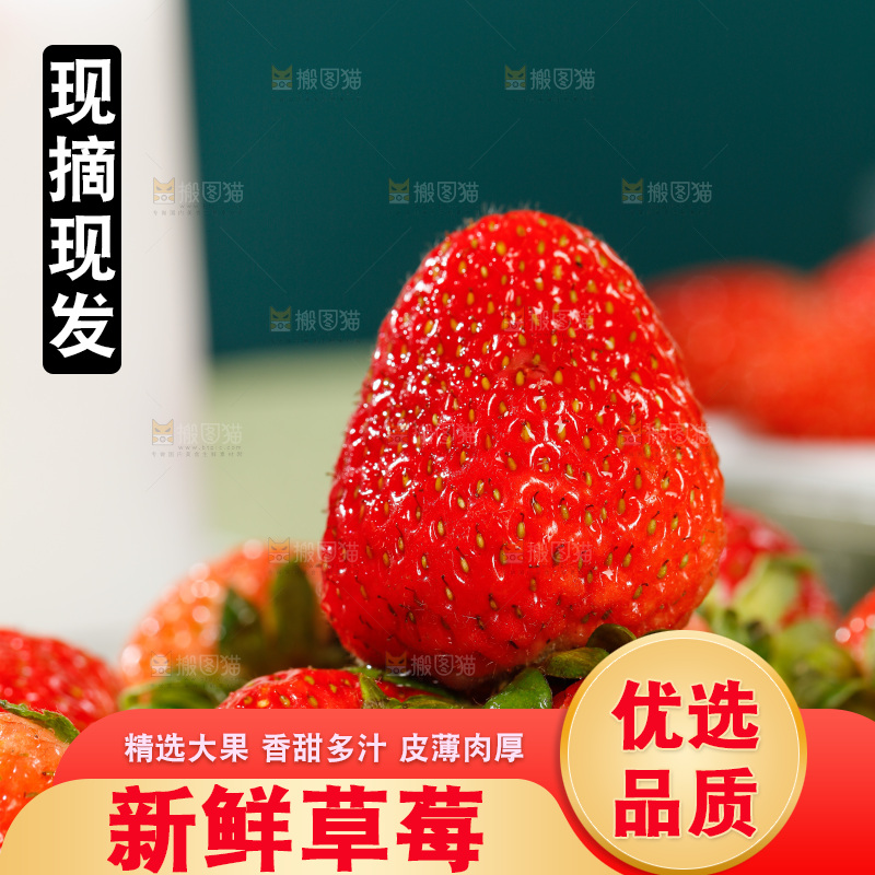 浅底上的丹东草莓