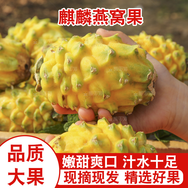 木底上的燕窝果
