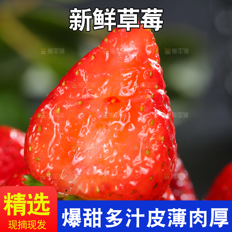 深底上的丹东草莓