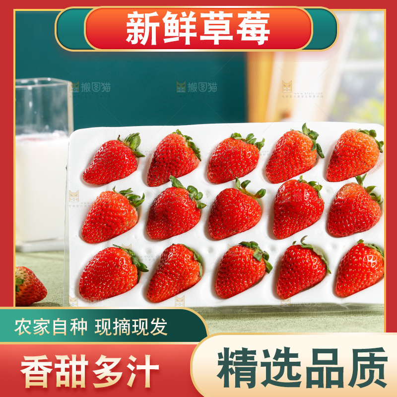 浅底上的丹东草莓