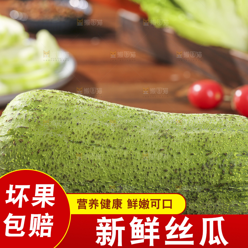 木底上的肉丝瓜