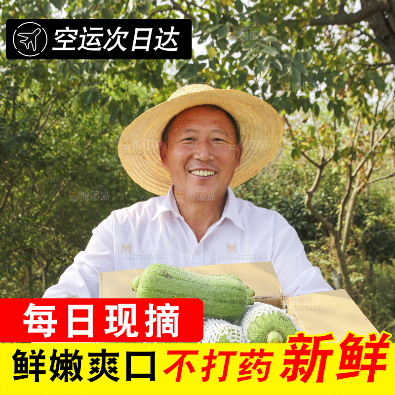 手里拿着新鲜丝瓜