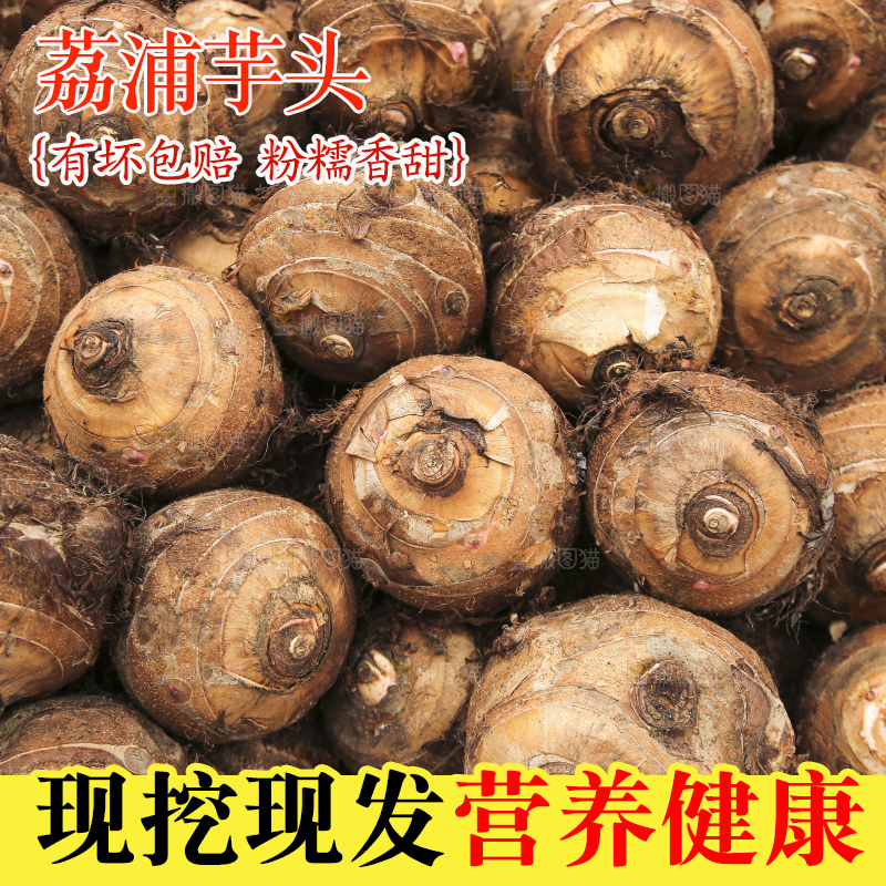 大片荔浦芋头