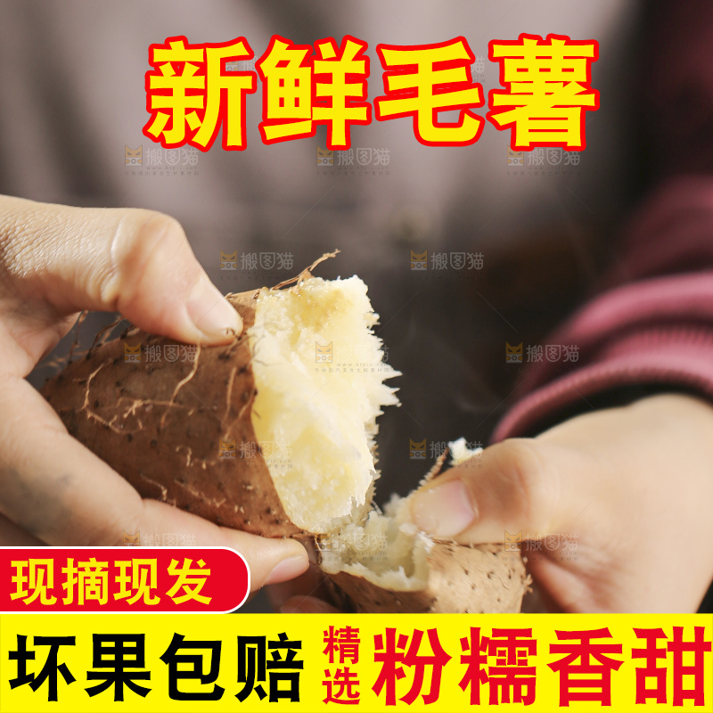 锅里蒸熟的毛薯