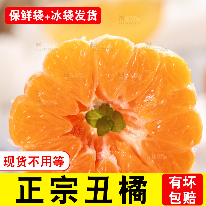 浅底上的丑八怪