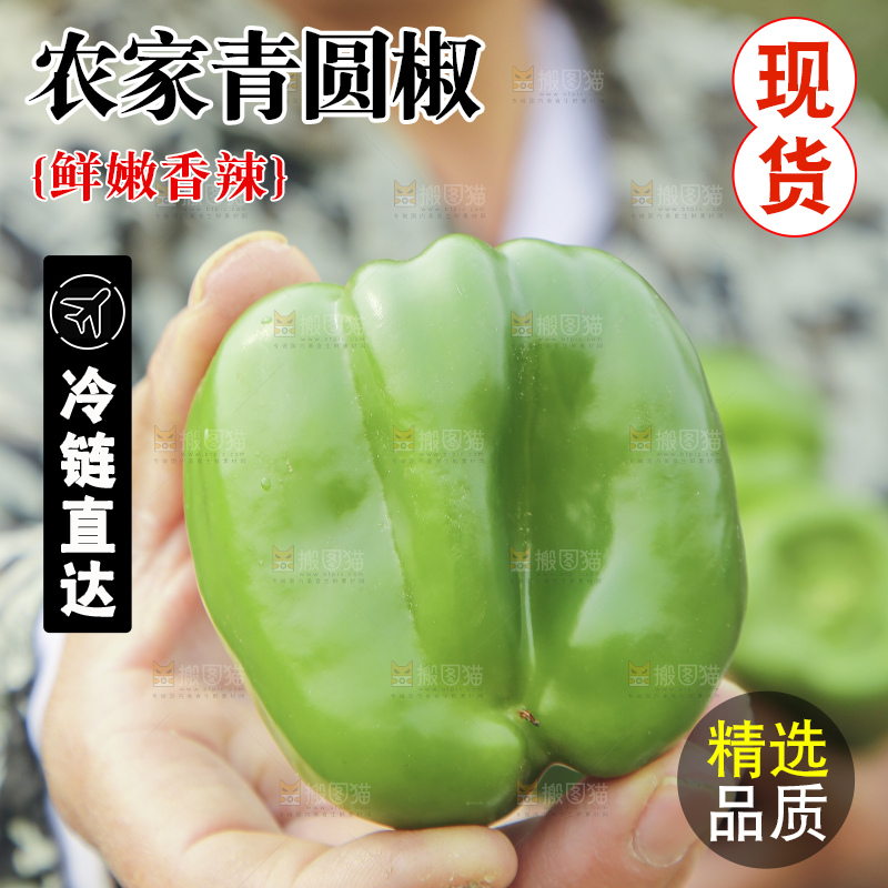手里拿着新鲜青圆椒