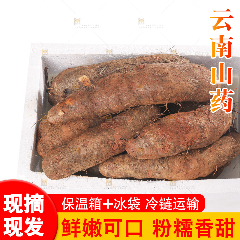 白底上的云南山药