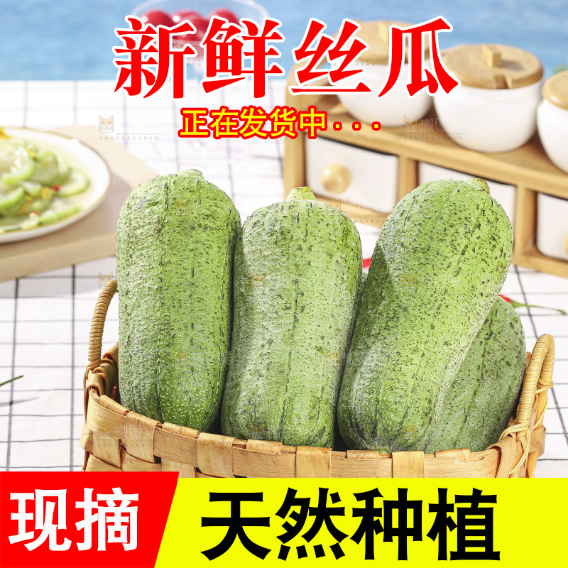 浅底上的肉丝瓜