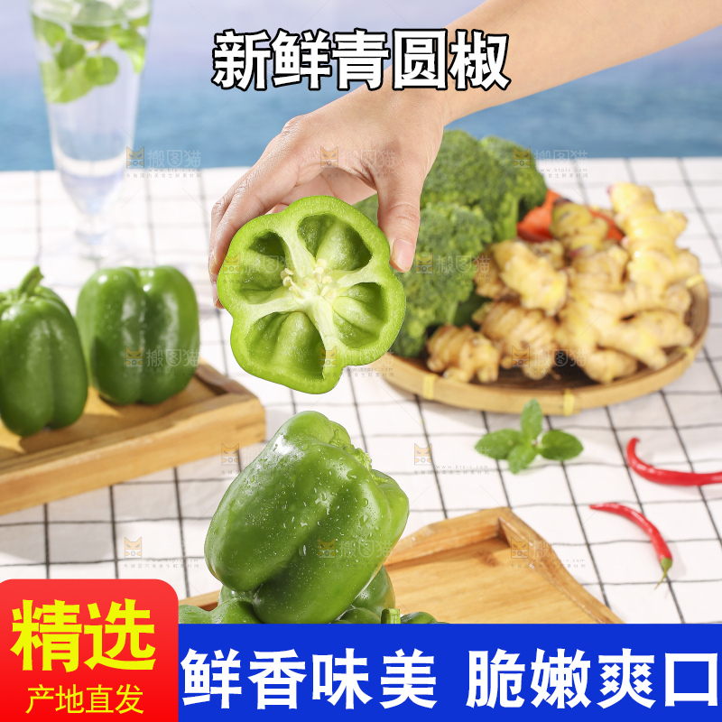 浅底上的青圆椒