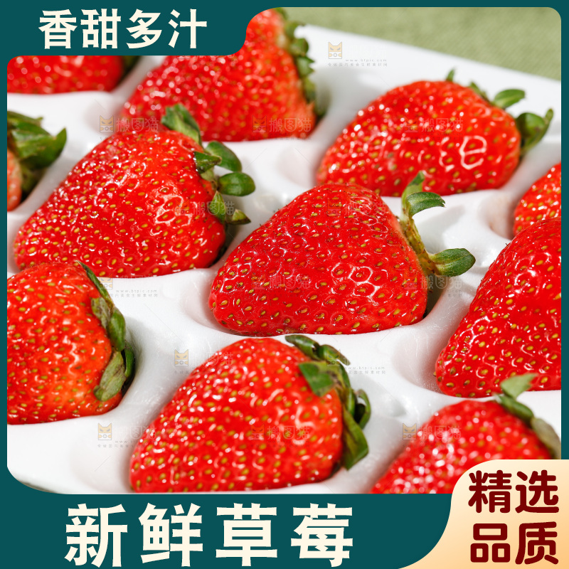 浅底上的丹东草莓