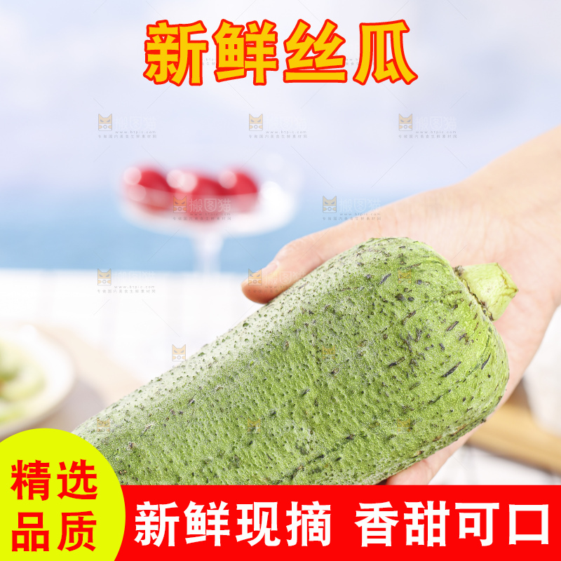 浅底上的肉丝瓜
