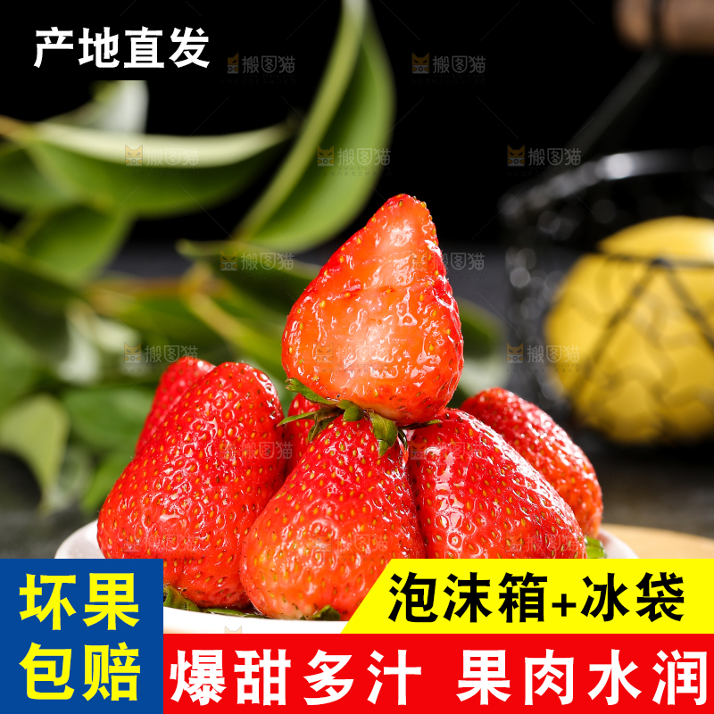 深底上的丹东草莓