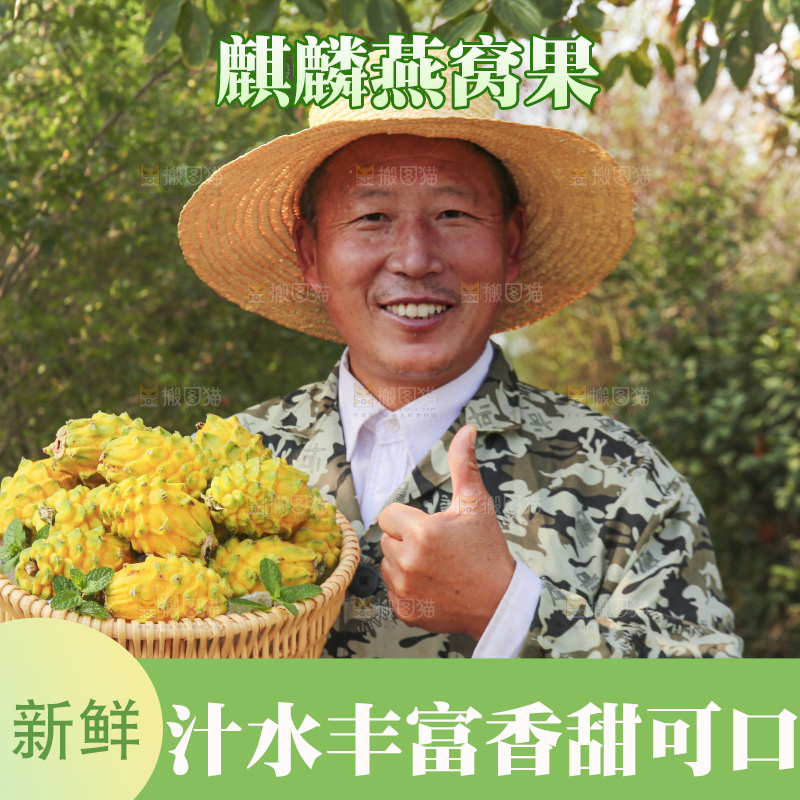 手里拿着燕窝果