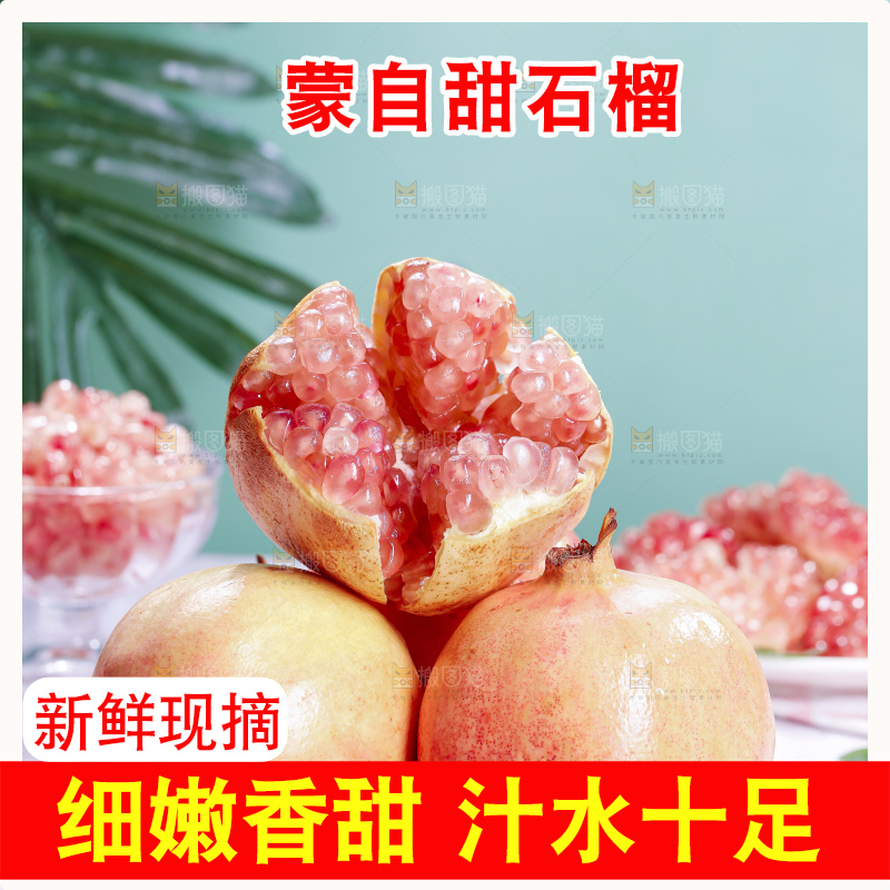 浅底上的蒙自石榴