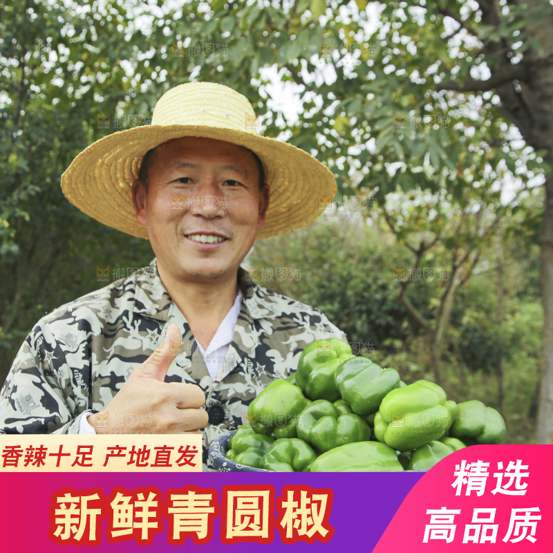 手里拿着新鲜青圆椒