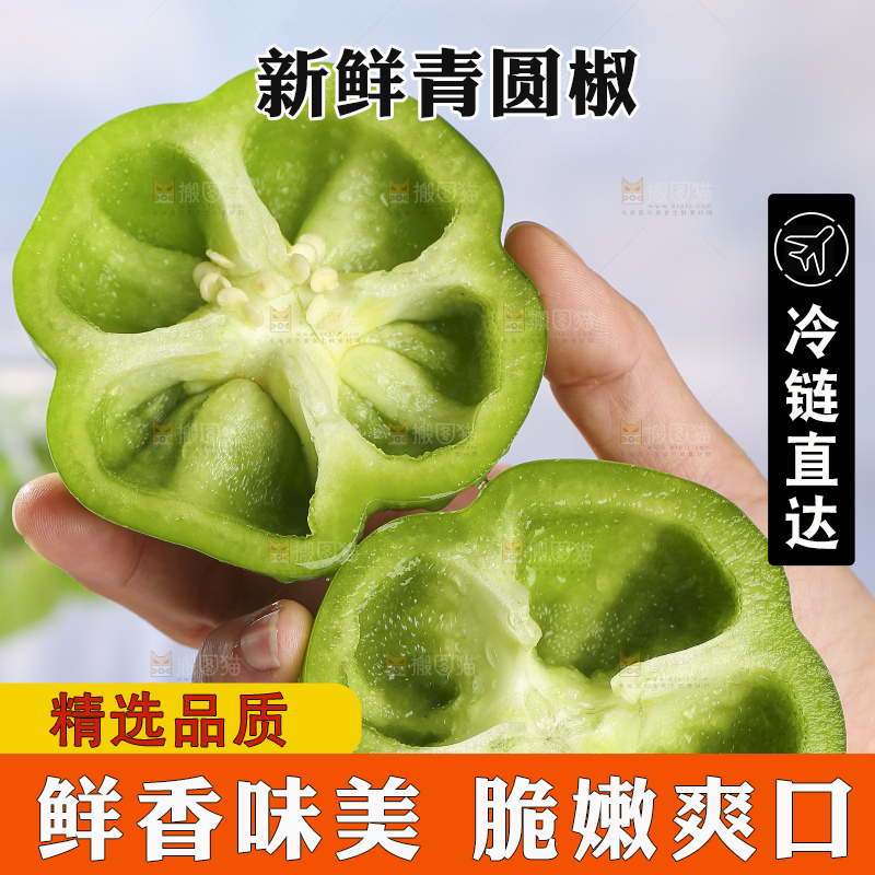 浅底上的青圆椒