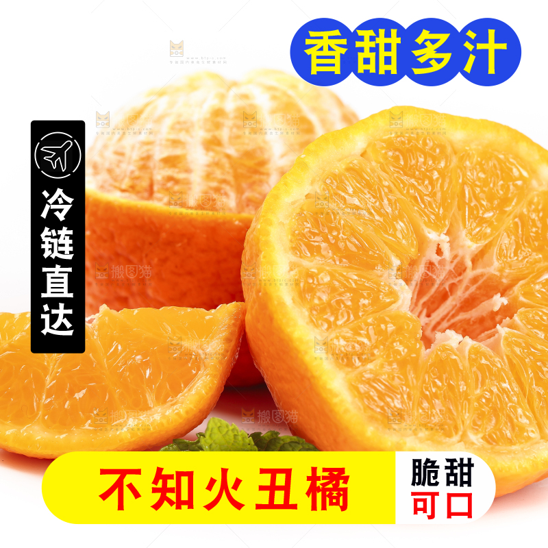 白底上的丑橘