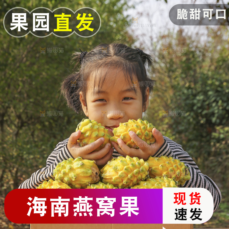 手里拿着燕窝果