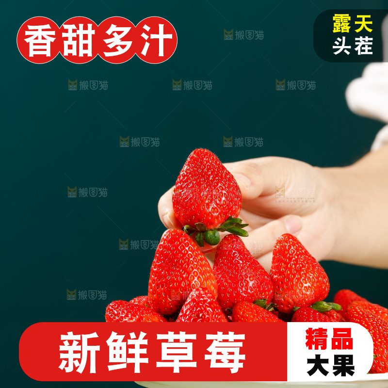 浅底上的丹东草莓