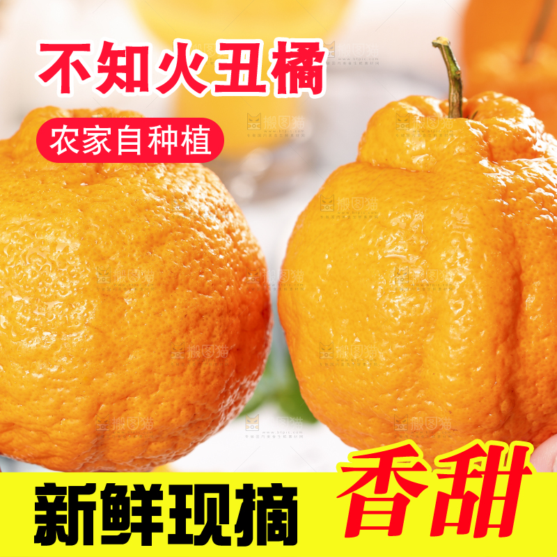 浅底上的丑八怪