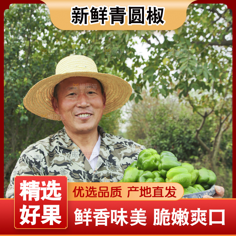 手里拿着新鲜青圆椒