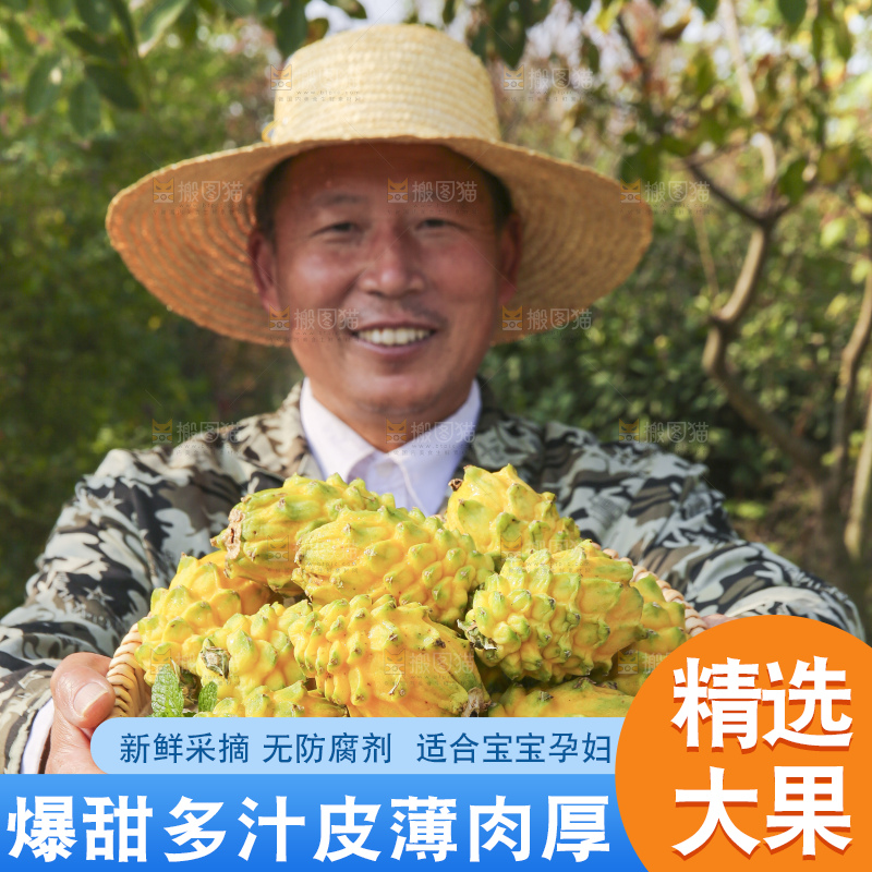 手里拿着燕窝果