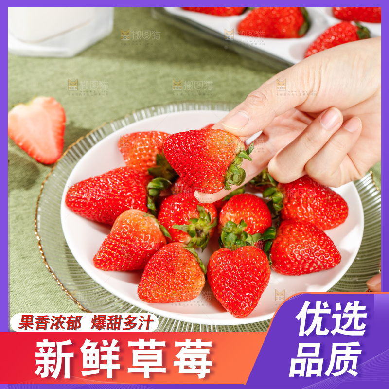 浅底上的丹东草莓