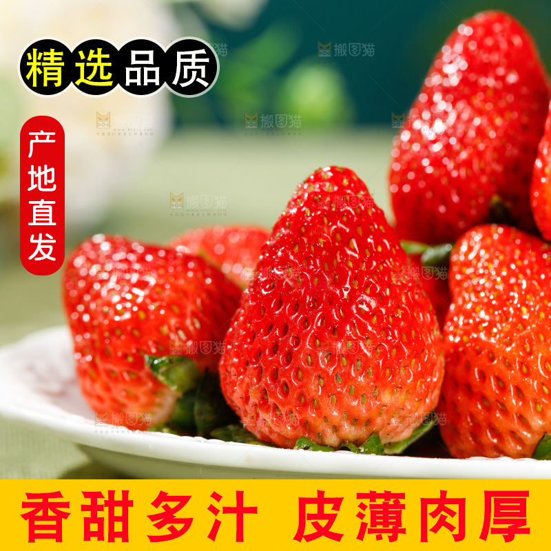 浅底上的丹东草莓