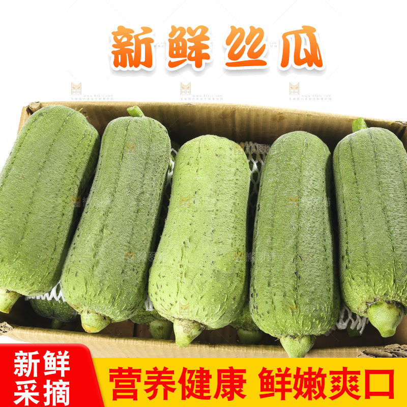 白底上的大丝瓜