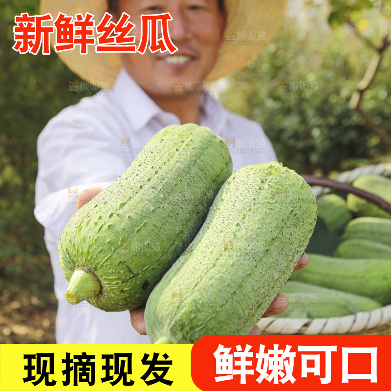 手里拿着新鲜丝瓜