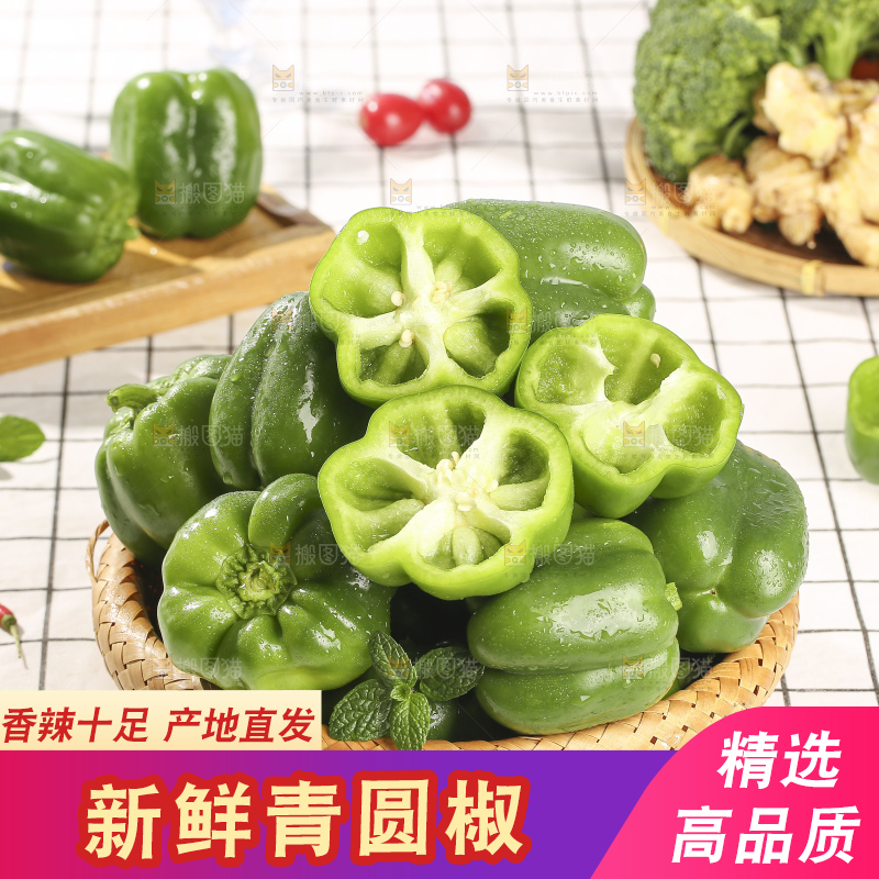 浅底上的青圆椒