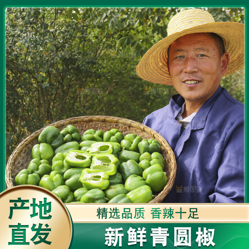 手里拿着新鲜青圆椒