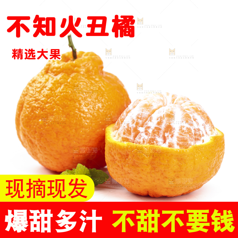 白底上的丑橘