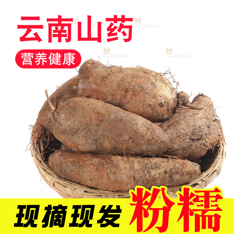 白底上的云南山药