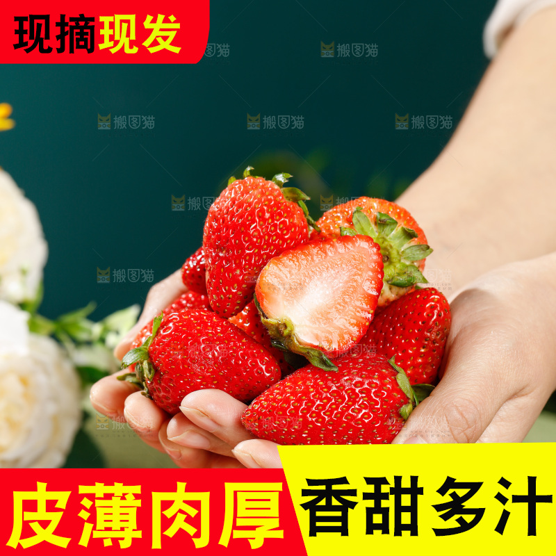 浅底上的丹东草莓