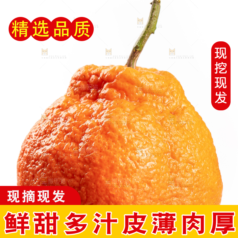 白底上的丑橘
