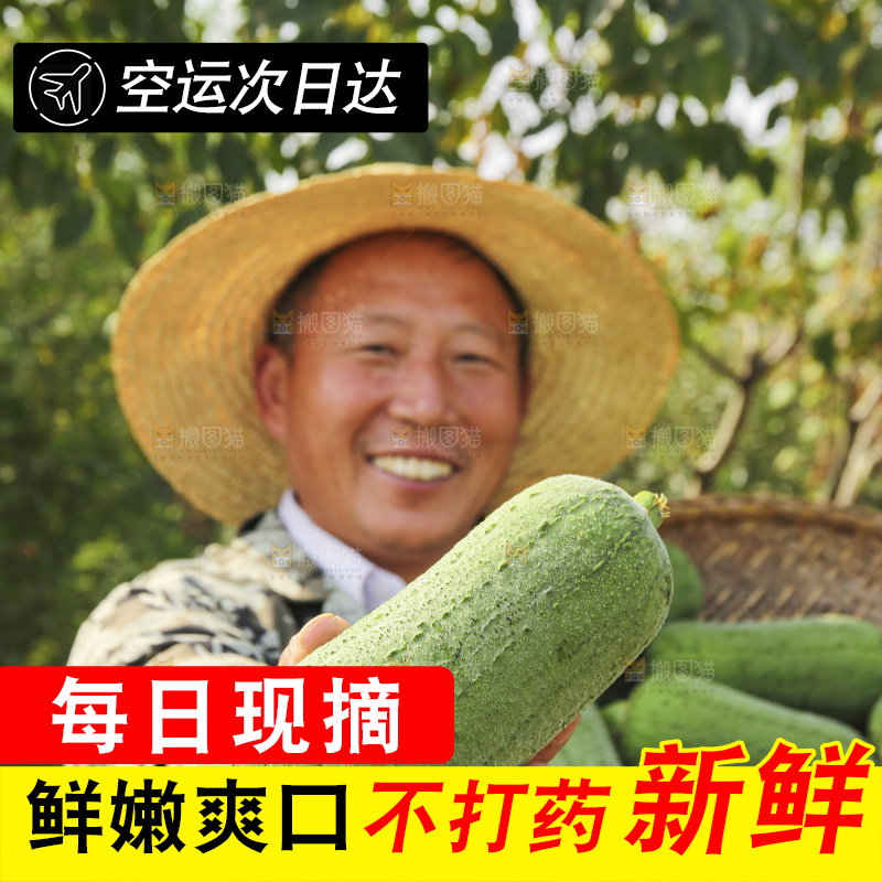 手里拿着新鲜丝瓜